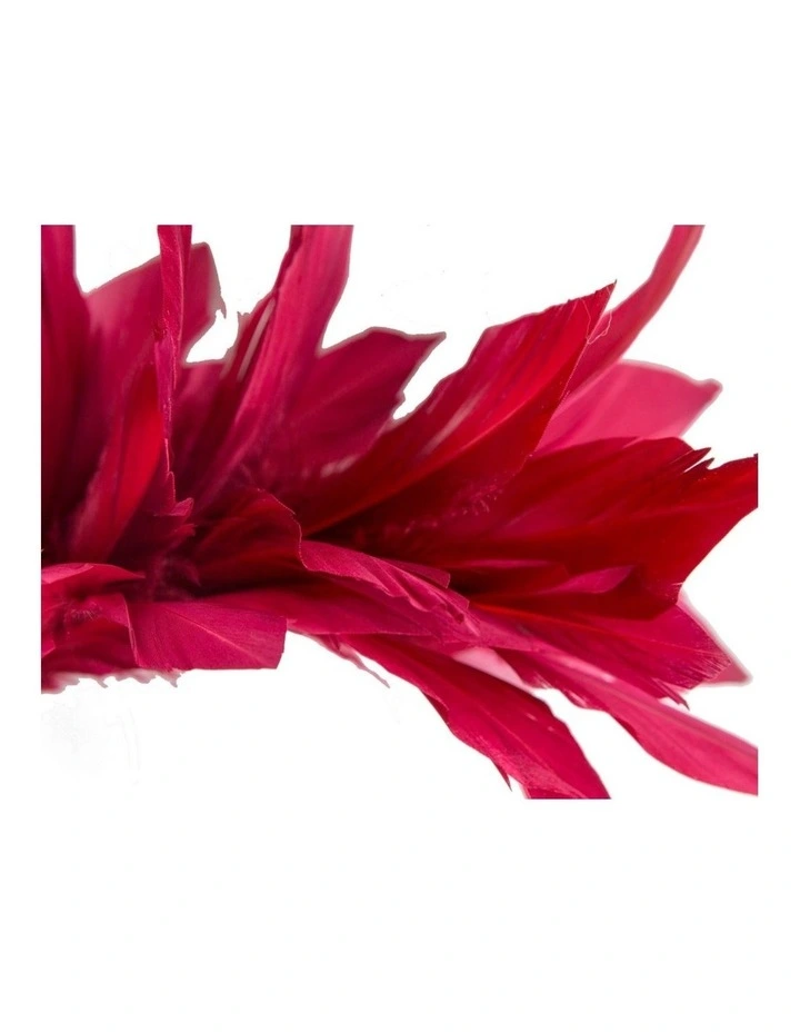 Feather MA893W Fascinator Headband in Burgundy Wine image 3
