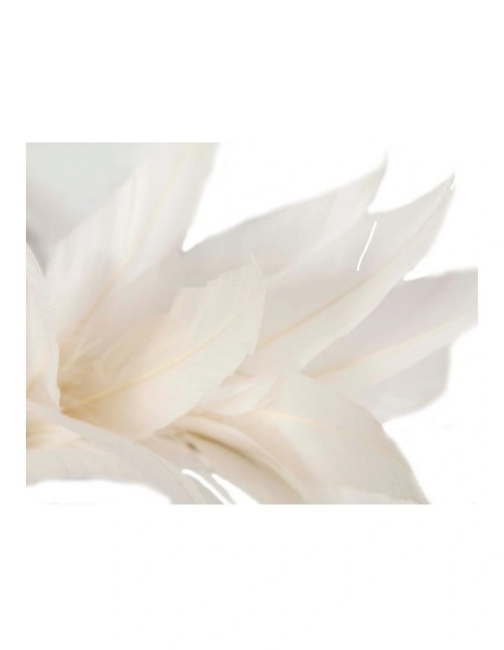 Feather MA893C Fascinator Headband in Ivory image 3
