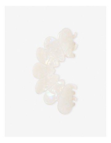 Ivory colour