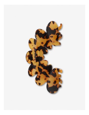 Tortoiseshell colour