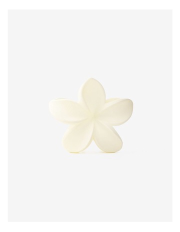 Beige colour