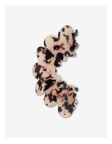 Tortoiseshell colour