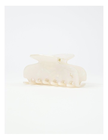 Ivory colour
