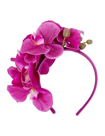 Fuchsia colour