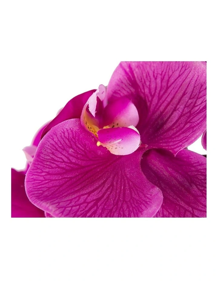 Fillies Collection fuchsia orchid flower headband S287F image 3
