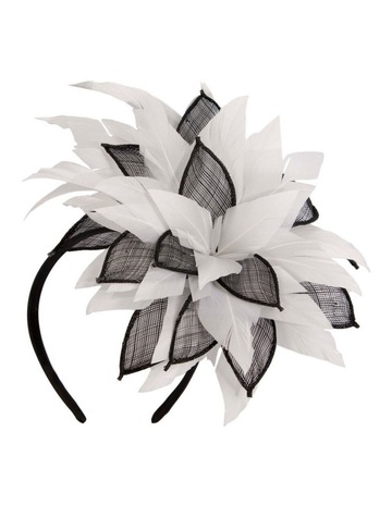 Black & White colour