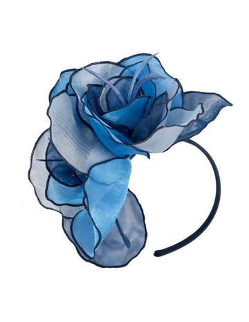 Navy & Blue colour