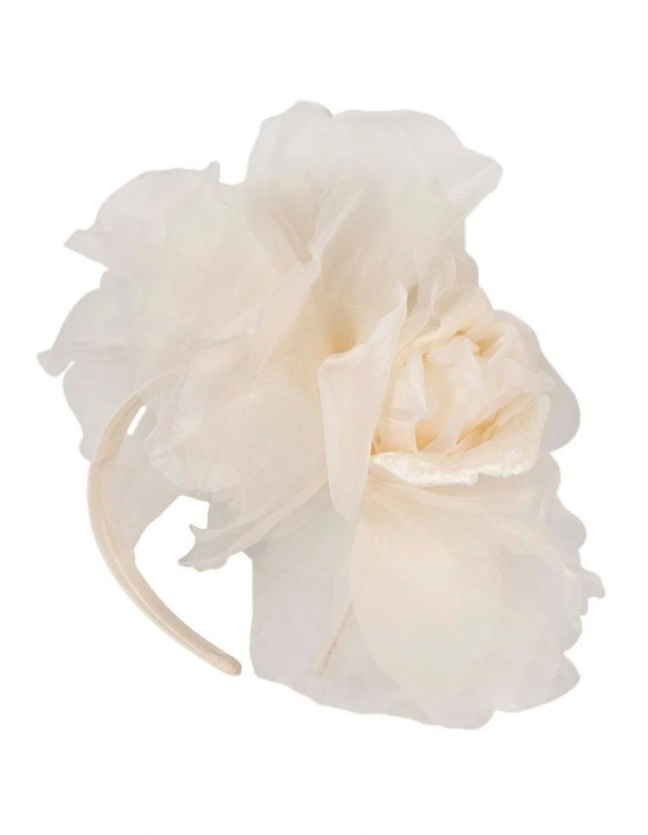 Fillies Collection Large Cream Silk Flower Fascinator S260C image 1