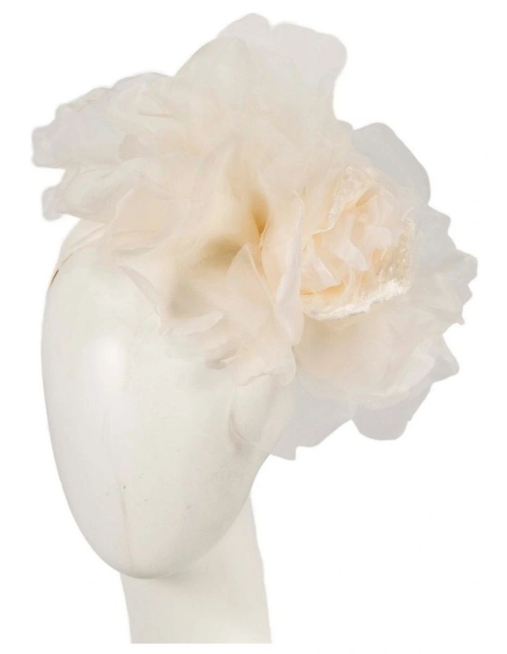 Fillies Collection Large Cream Silk Flower Fascinator S260C image 2