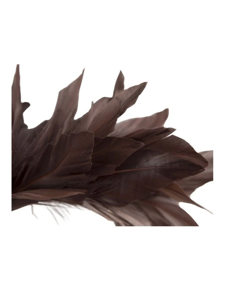 Max Alexander Brown Feather Headband Fascinator Made in Australia MA893CH image 3