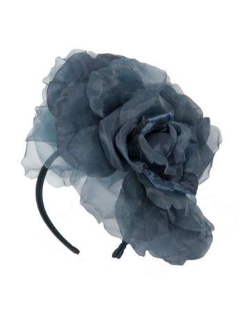 Navy & Blue colour