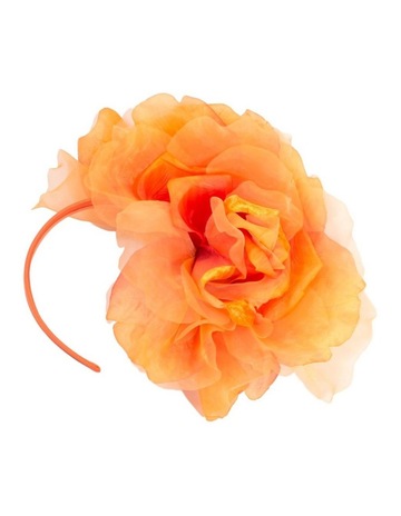 Orange colour