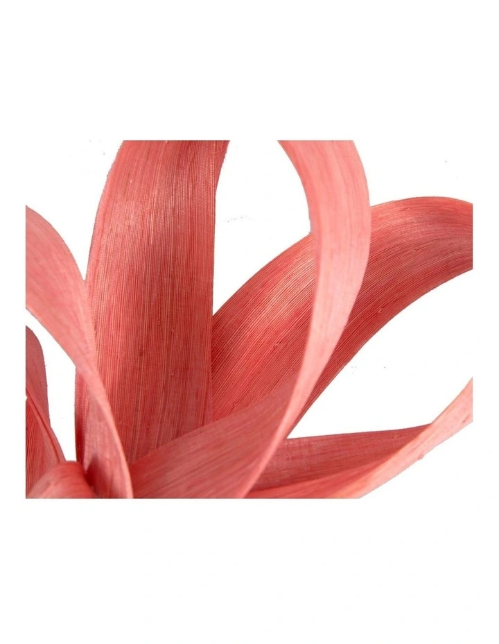 Fillies Collection Coral Silk Abaca Loops Racing Fascinator S344CR image 3