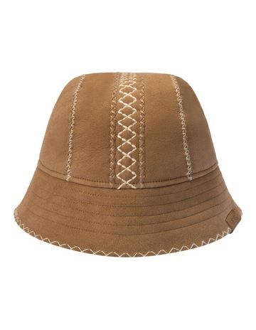 Chestnut colour
