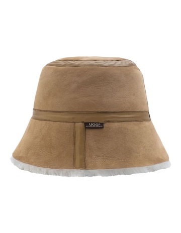 Chestnut colour