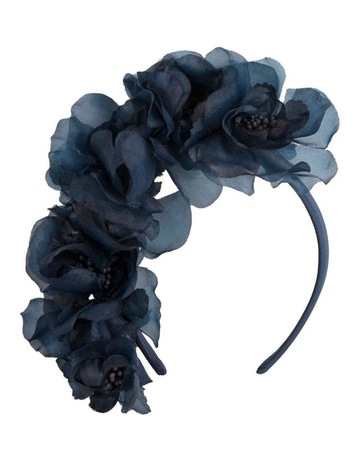 Navy & Blue colour