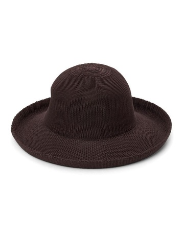 Chocolate colour