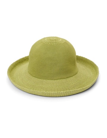 AVOCADO colour