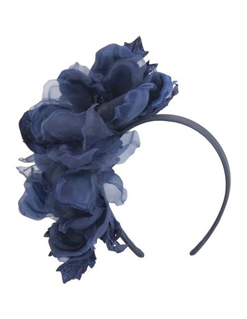 Navy & Blue colour