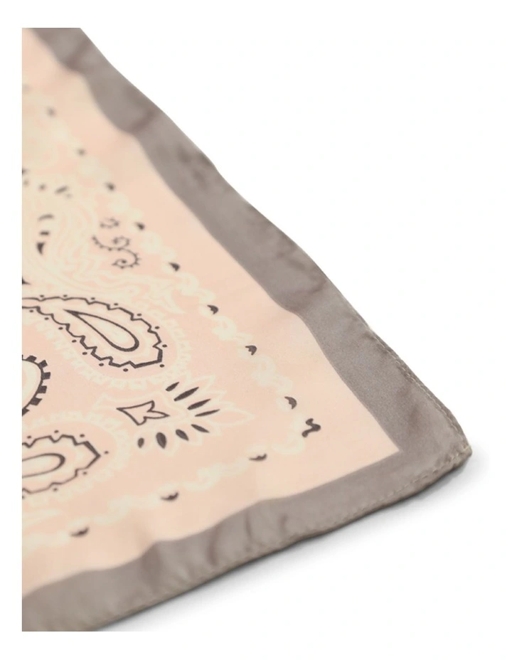 Jolene Fashion Scarf in Pink/Grey image 3