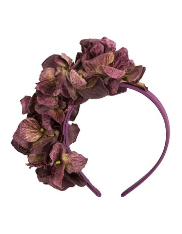 Purple & Violet colour