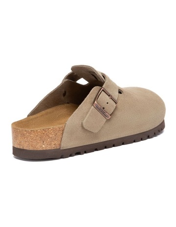 Taupe colour