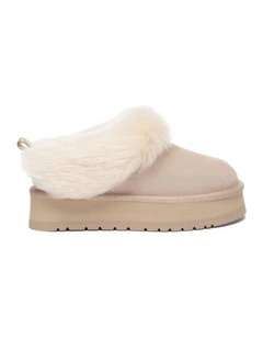 Australian Shepherd UGG Mianee Platform Slippers