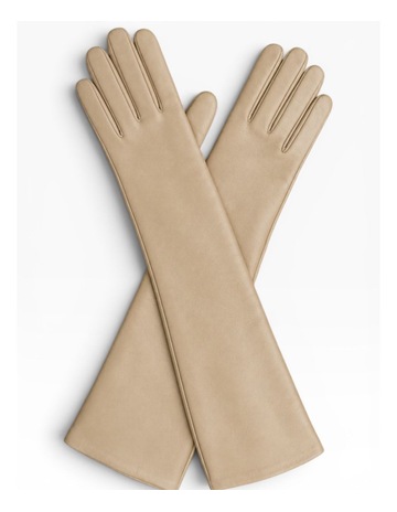 Beige colour
