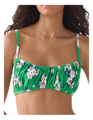 Parrot Green colour