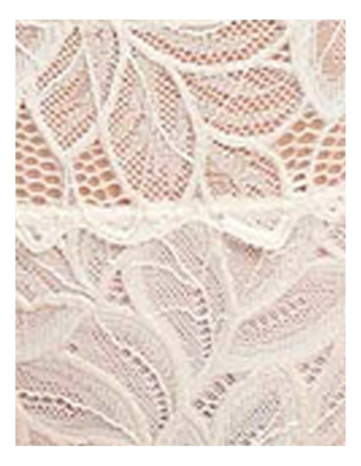 Divine Sheer Lace Hipster Brief image 7