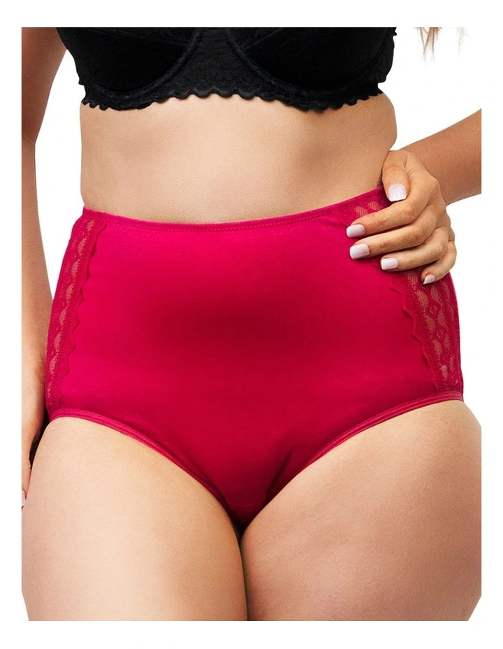 Organic Cotton & Lace High Waist Period Underwear image 4