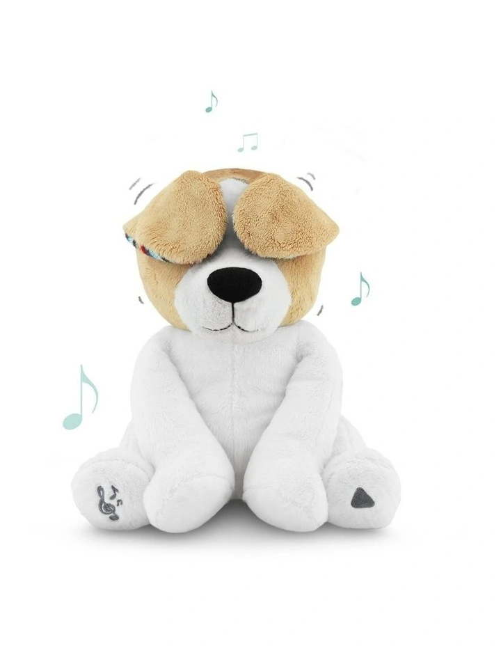 Soft Toy in Danny The Dog image 2