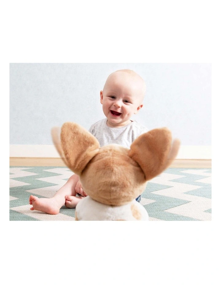 Soft Toy in Danny The Dog image 6