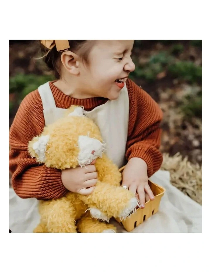 Alley The Soft Toy image 5