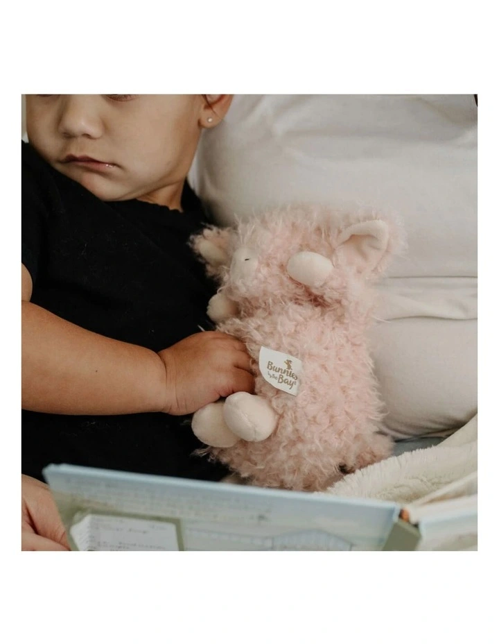 Wee Hammie Pig Soft Toy image 4