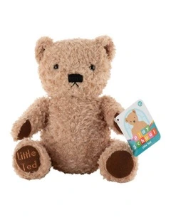Adorable Little Ted Plush Bear Soft Toy 19cm