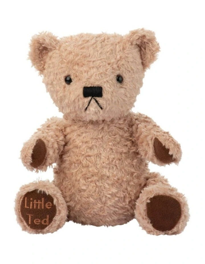 Adorable Little Ted Plush Bear Soft Toy 19cm image 2