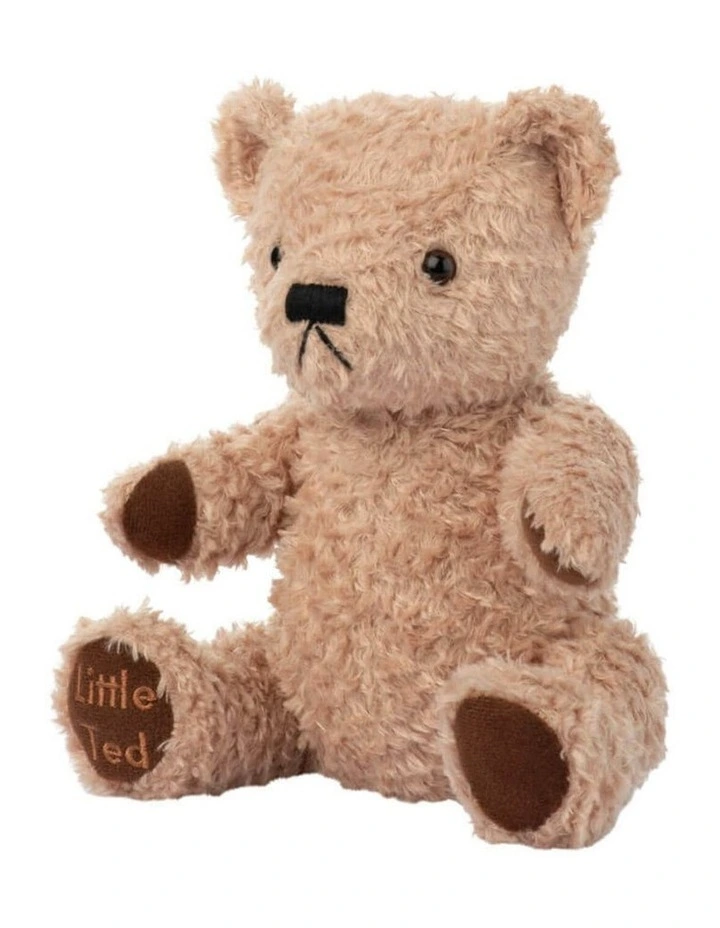 Adorable Little Ted Plush Bear Soft Toy 19cm image 3