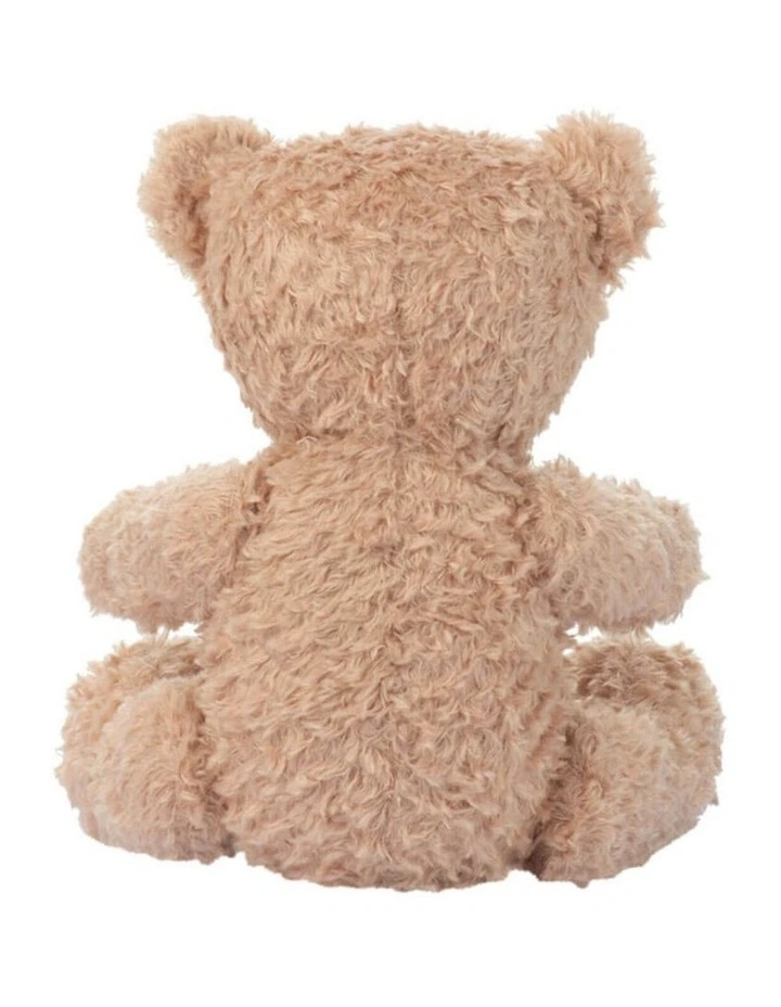 Adorable Little Ted Plush Bear Soft Toy 19cm image 4