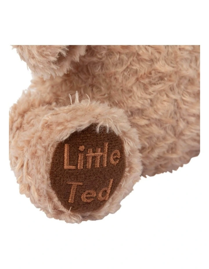 Adorable Little Ted Plush Bear Soft Toy 19cm image 5
