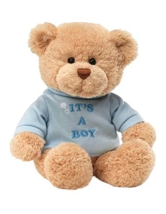 Message Teddy Bear Soft Toy
