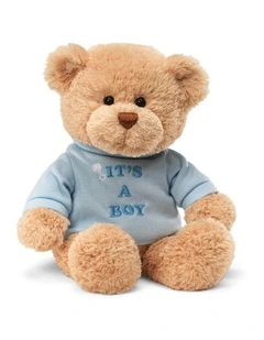 GUND - It's a Boy (Blue T-Shirt) Message Bear - Soft Toy Teddy Bear, 1 year 