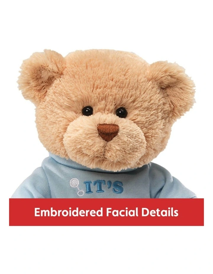 Message Teddy Bear Soft Toy image 2