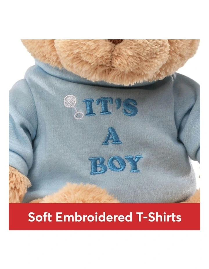Message Teddy Bear Soft Toy image 3