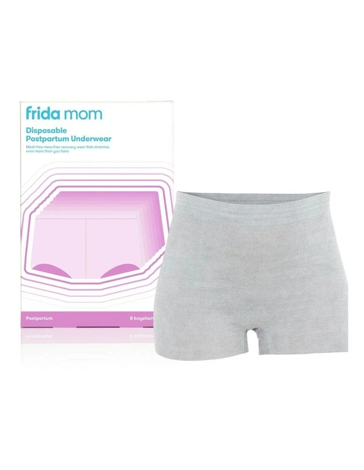 Frida Mom Disposable Boyshort Underwear image 1
