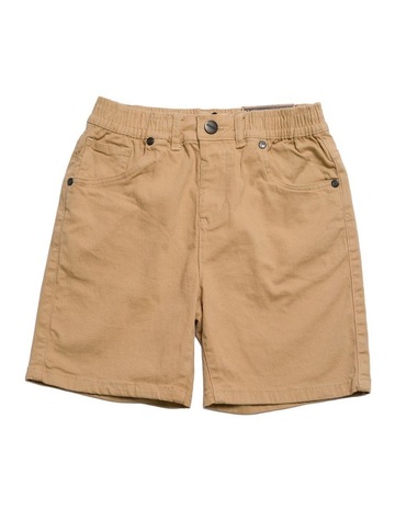 Camel colour