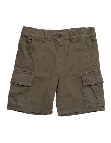Olive colour