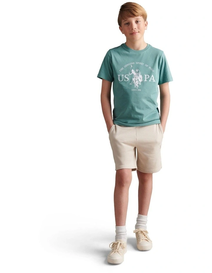 Boys USPA Print Graphic T-Shirt Arctic image 3