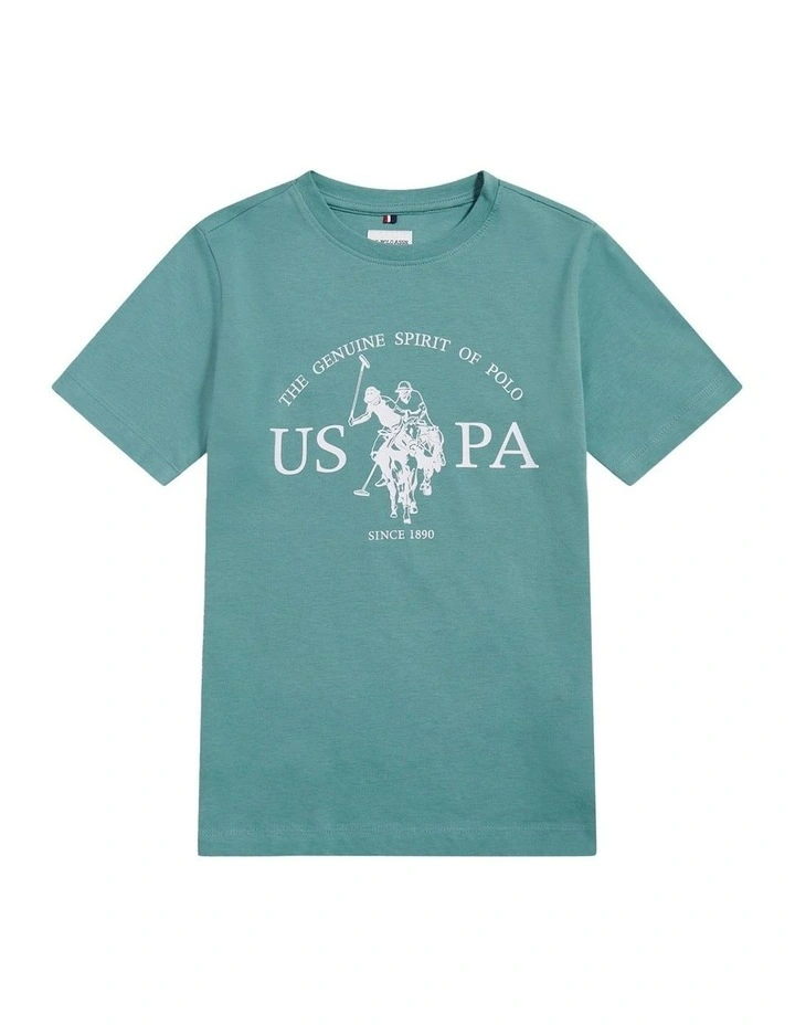 Boys USPA Print Graphic T-Shirt Arctic image 5