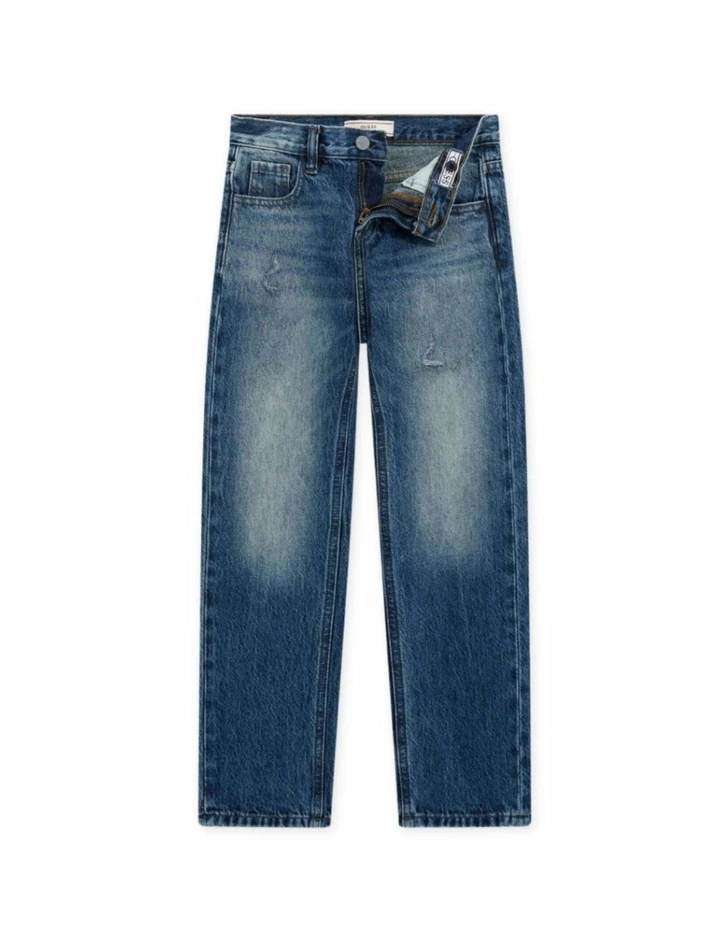 Regular Fit Denim Pants in Blue image 1